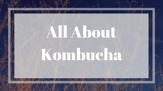 All About Kombucha title graphic