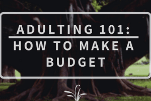 Starting a budget for beginners