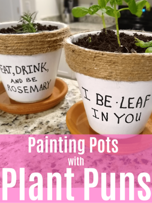 Paint Pots with Plant Puns