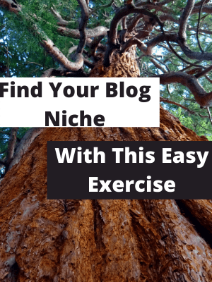 How to choose a blog niche with this chart